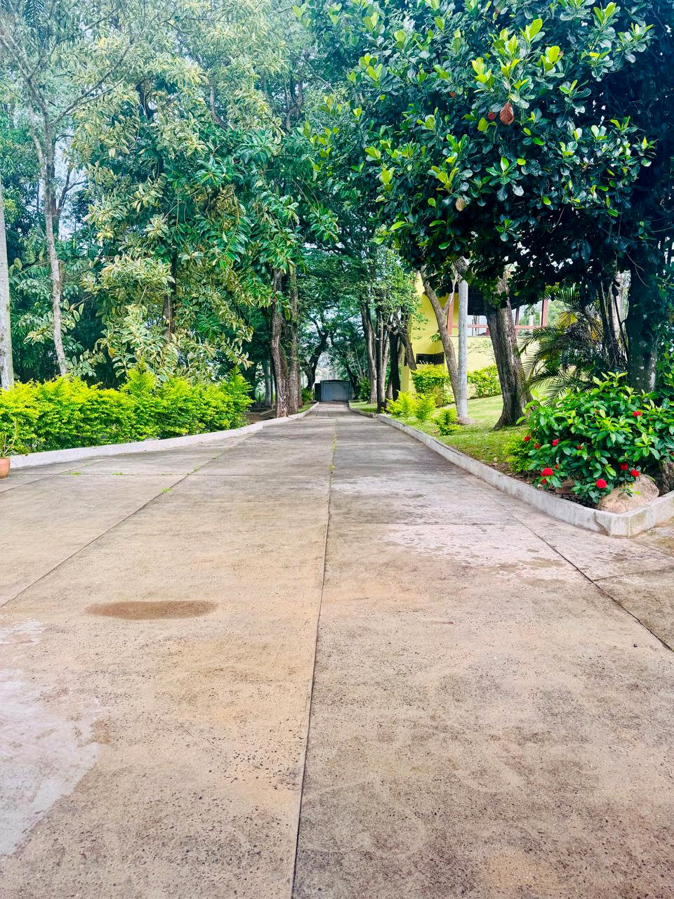 Caminho arborizado de entrada da unidade em Estiva Gerbi